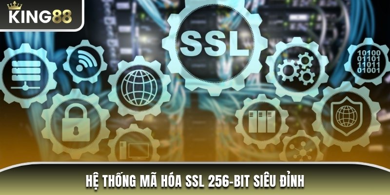 Hệ thống mã hóa SSL 256-bit siêu đỉnh